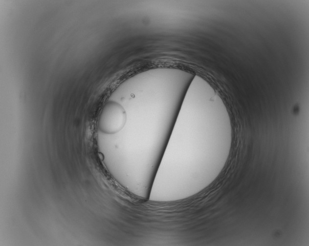 X0000115770759200911131021