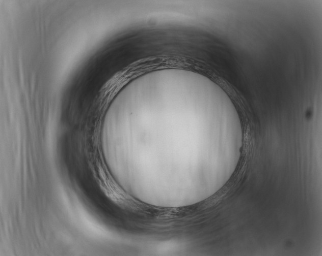 X0000115770765200911131021
