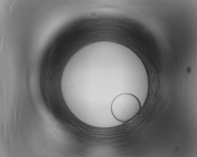 X0000115770766200911131021