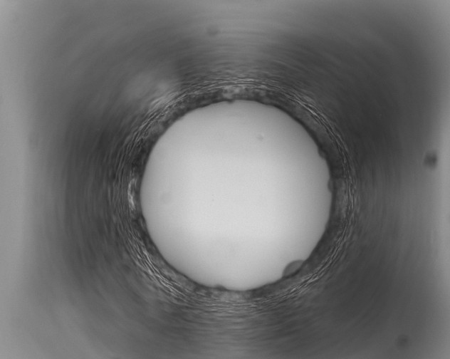 X0000115770770200911131021
