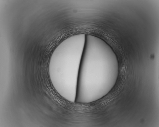 X0000115770772200911131020