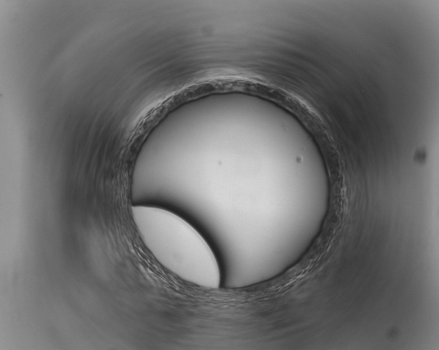 X0000115770775200911131020