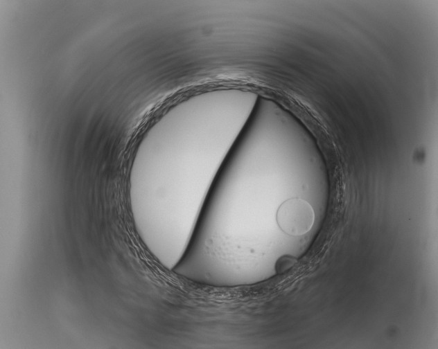 X0000115770776200911131020