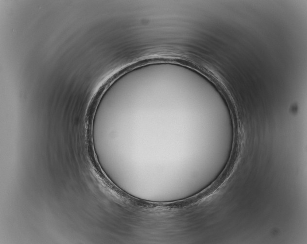 X0000115770779200911131020