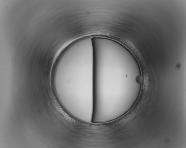 X0000115770780200911131020