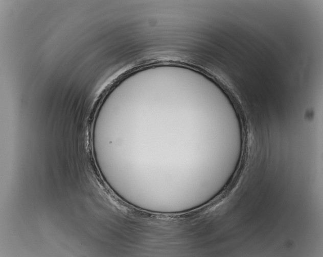 X0000115770782200911131020