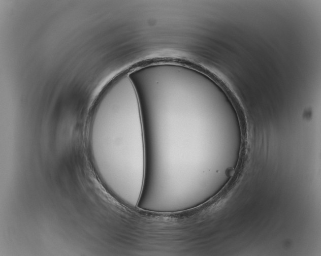 X0000115770783200911131020