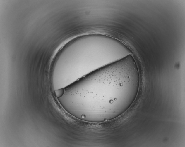 X0000115770784200911131020