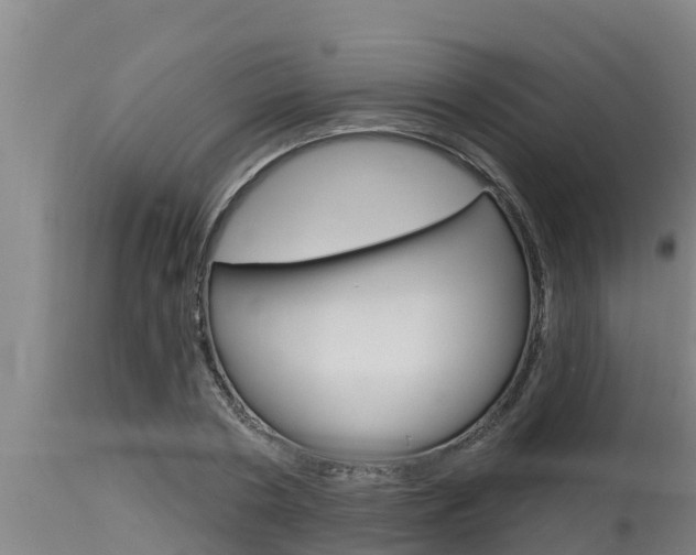 X0000115770786200911131020