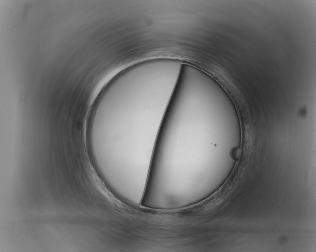 X0000115770788200911131020