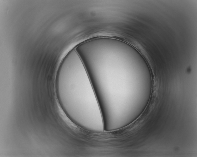 X0000115770795200911131020
