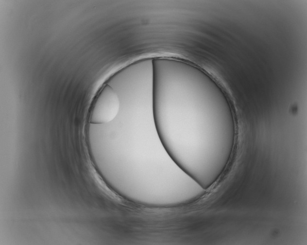 X0000115770797200911131020