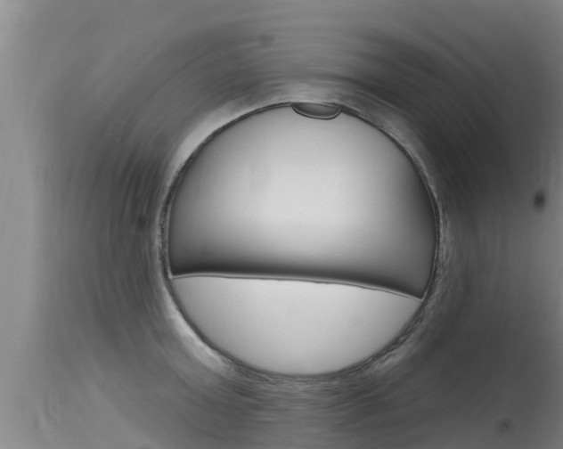 X0000115770803200911131020