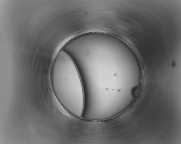X0000115770804200911131020