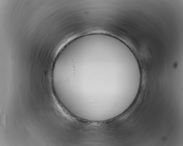 X0000115770806200911131020