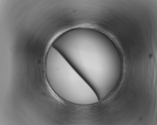 X0000115770808200911131020