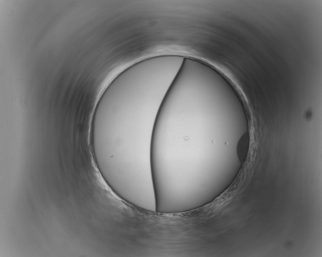 X0000115770815200911131020