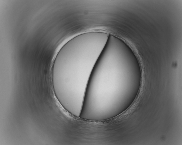 X0000115770816200911131020
