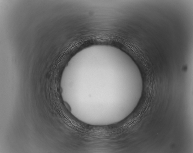 X0000115770817200911131019