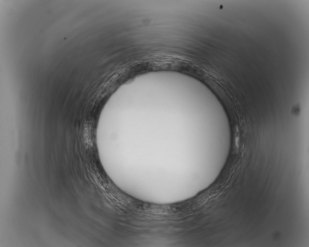 X0000115770819200911131019