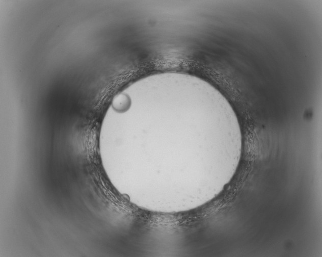 X0000115770820200911131019