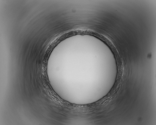 X0000115770823200911131019