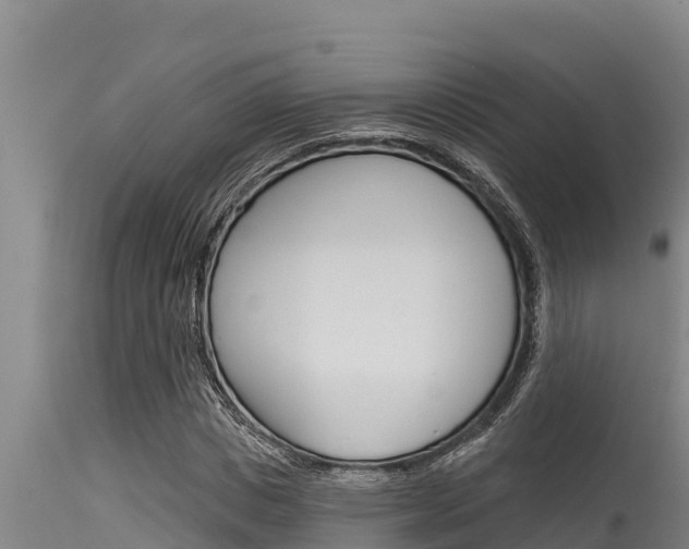 X0000115770825200911131019