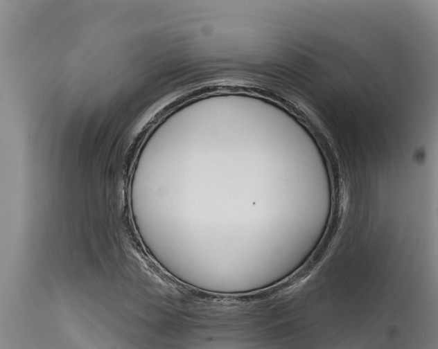 X0000115770829200911131019