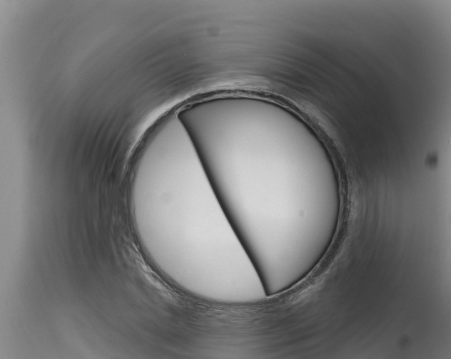 X0000115770830200911131019