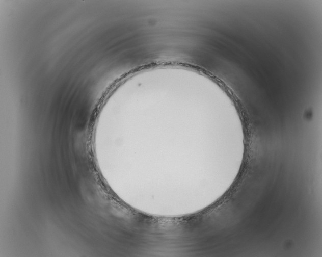 X0000115770832200911131019