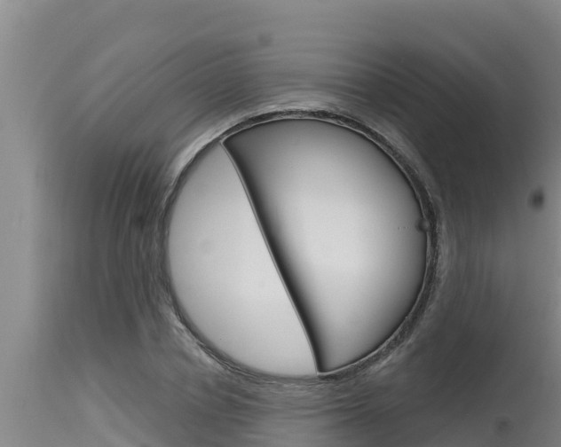 X0000115770834200911131019