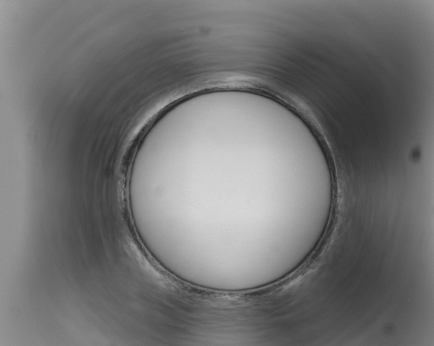 X0000115770835200911131019