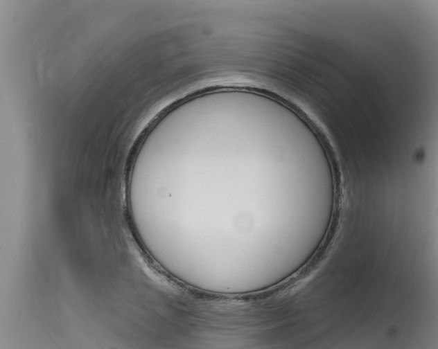 X0000115770837200911131019