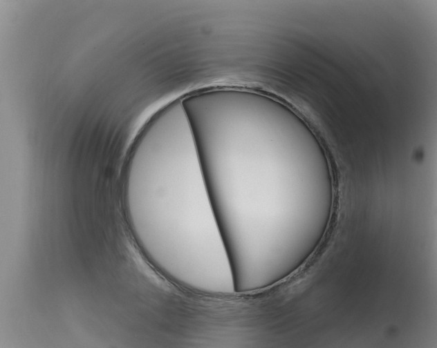 X0000115770838200911131019