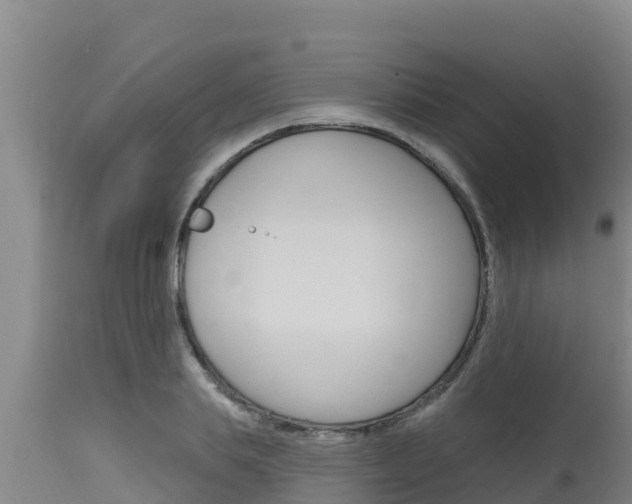 X0000115770839200911131020