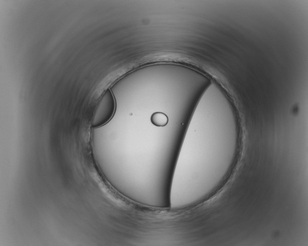 X0000115770841200911131020
