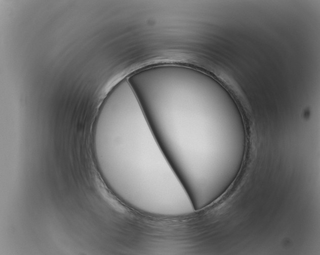 X0000115770842200911131020