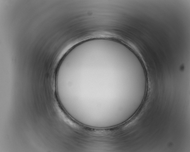 X0000115770843200911131020