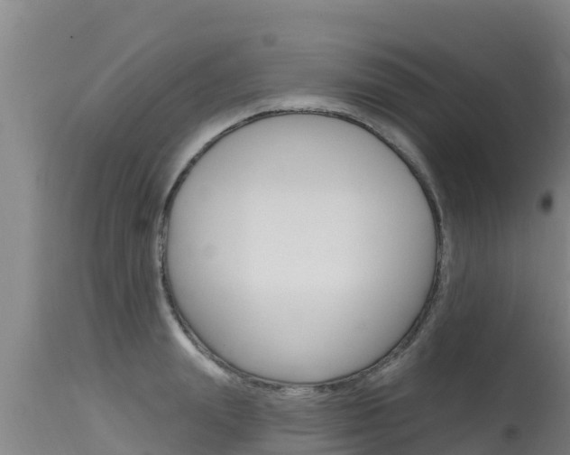 X0000115770847200911131020
