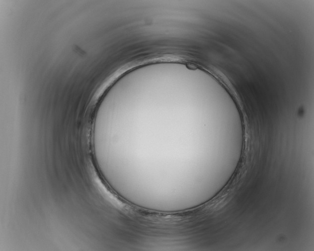 X0000115770851200911131020