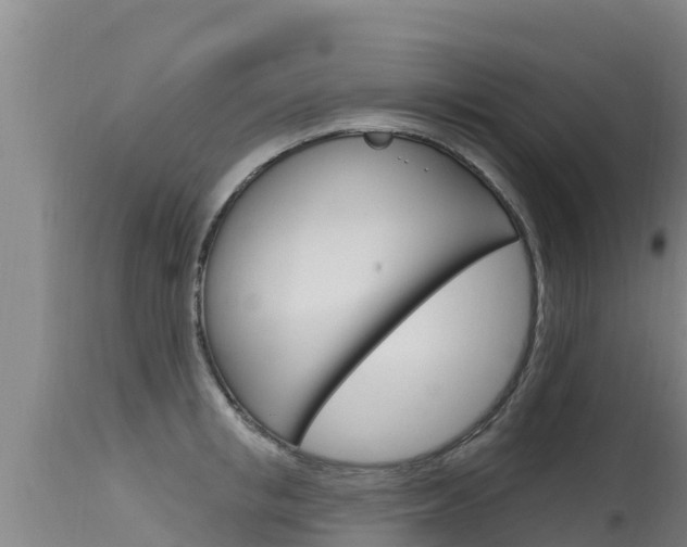 X0000115770853200911131020