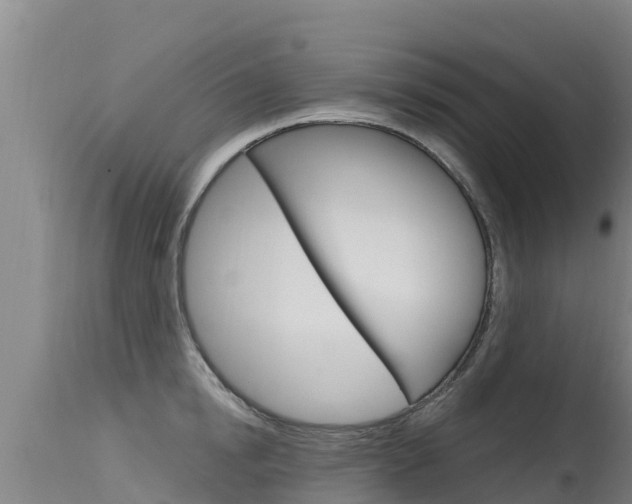 X0000115770854200911131020