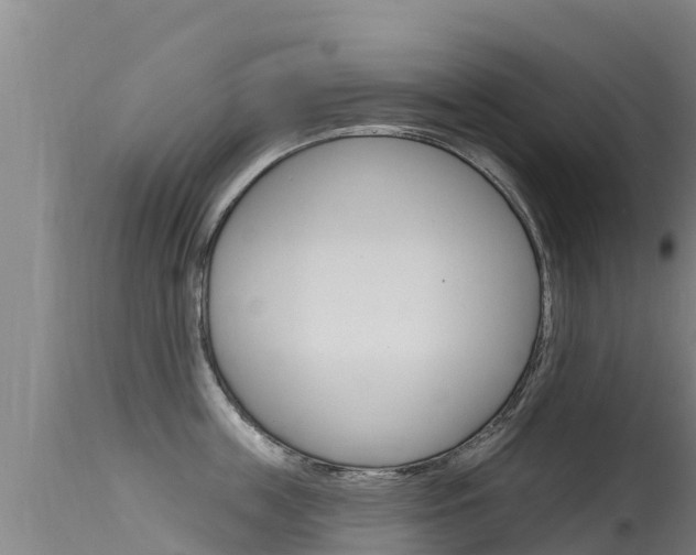 X0000115770859200911131020