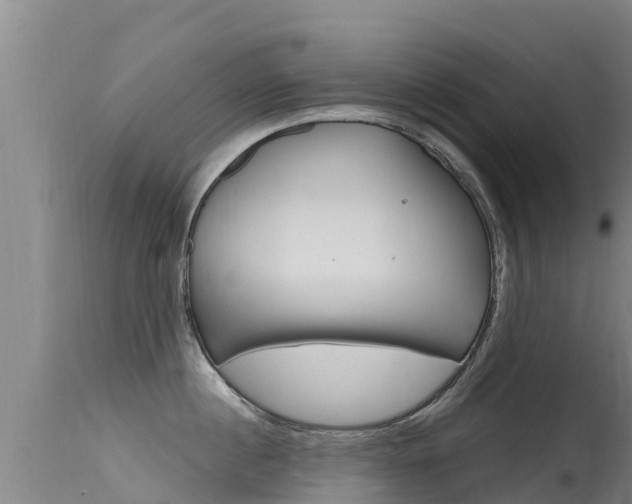 X0000115770860200911131020