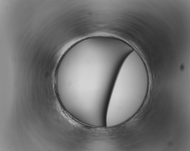 X0000115770862200911131020