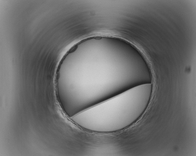 X0000115770864200911131020