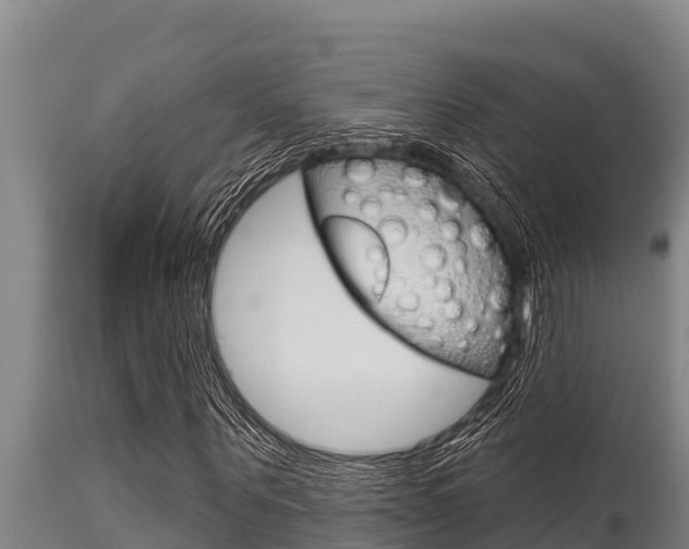X0000115770867200911131019