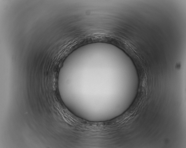 X0000115770868200911131019
