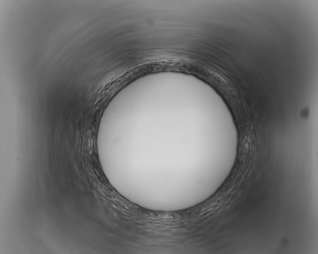 X0000115770869200911131019
