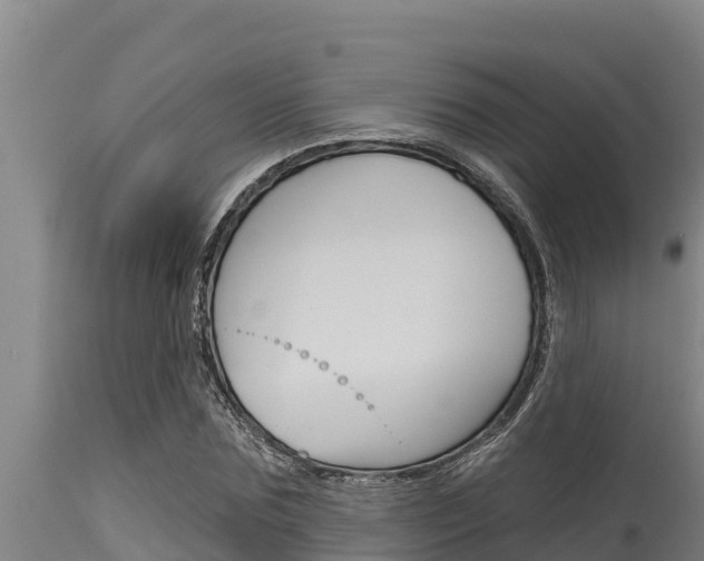 X0000115770875200911131019